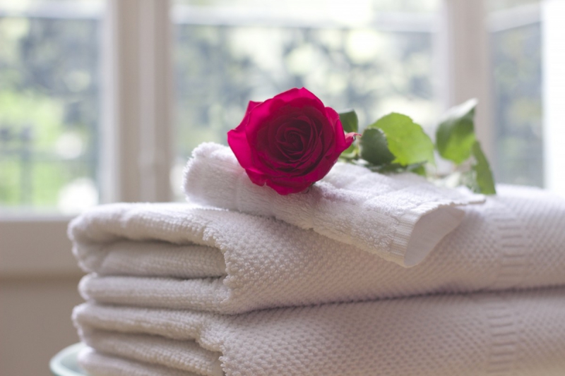 chambre-hote-TOURETTE DU CHATEAU-min_towel_rose_clean_care_salon_spa_white_bath-731641